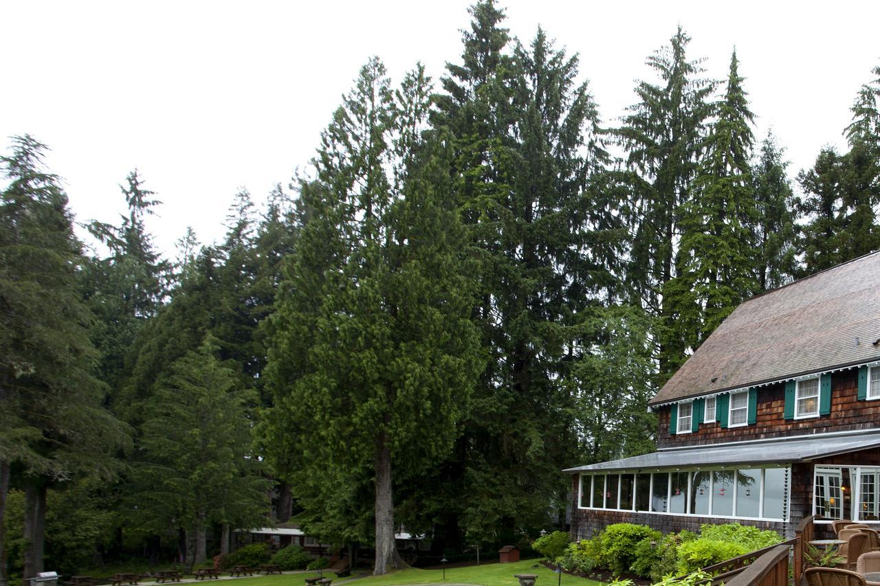 Lake Quinault Lodge Exteriér fotografie